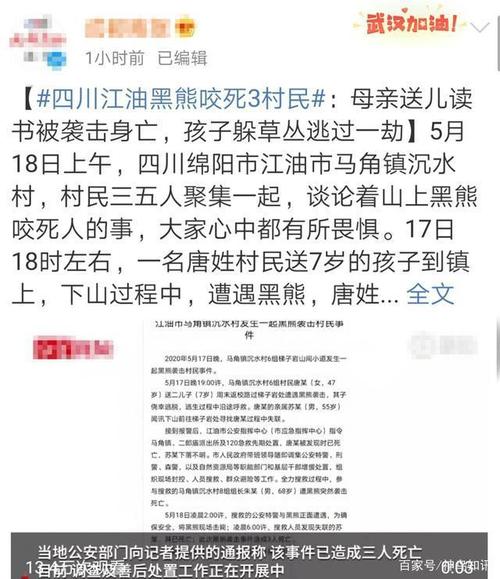 突发惨案！母亲送儿上学读书遭黑熊咬死，两名搜救村民遇袭身亡，这是怎么了康定 泥石流康定泥石流4人遇难 汽车12