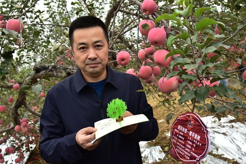 温州一家人是写哪年王浩任浙江省委书记上海火花收藏名家有哪几个人 大众(991132)